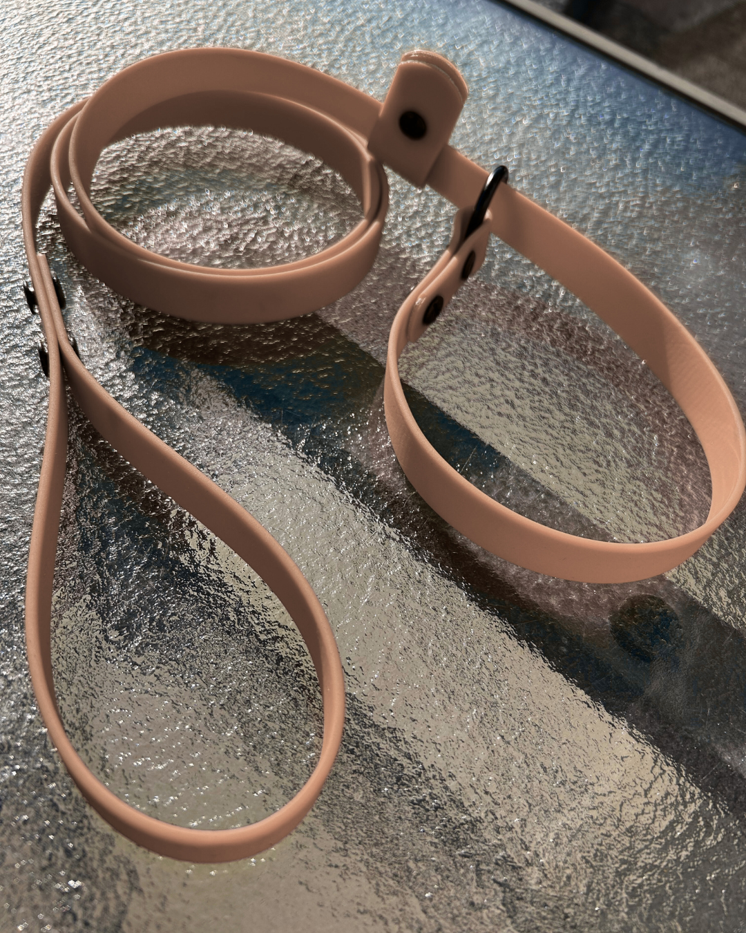 Laisse lasso en Biothane pour chien - Fait Main au Québec