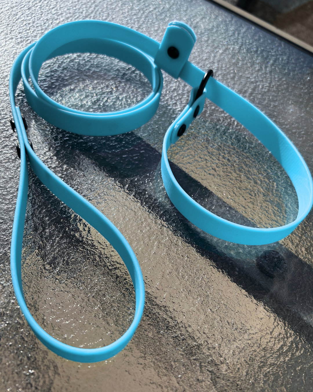 Laisse lasso en Biothane pour chien - Fait Main au Québec