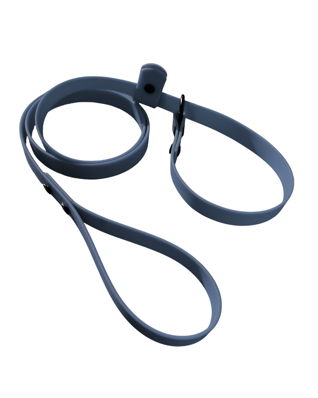 Laisse lasso en Biothane pour chien - Fait Main au Québec