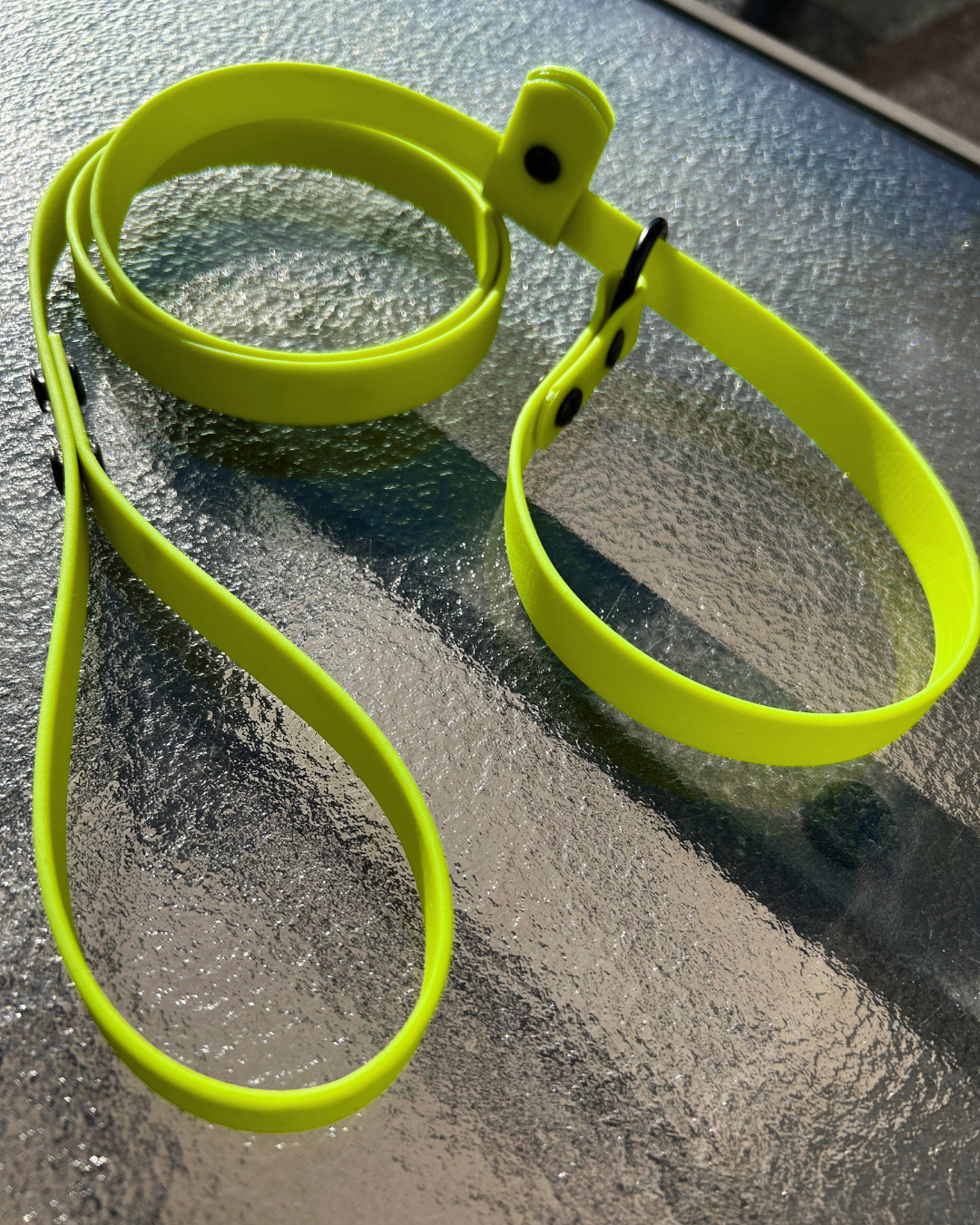 Laisse lasso en Biothane pour chien - Fait Main au Québec