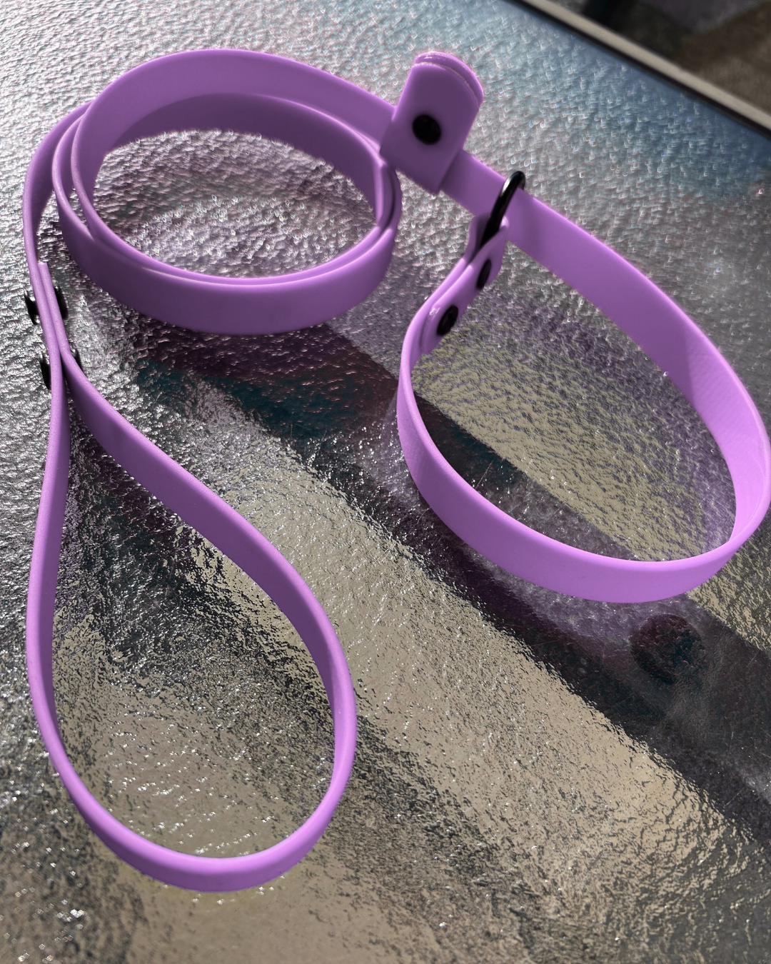 Laisse lasso en Biothane pour chien - Fait Main au Québec