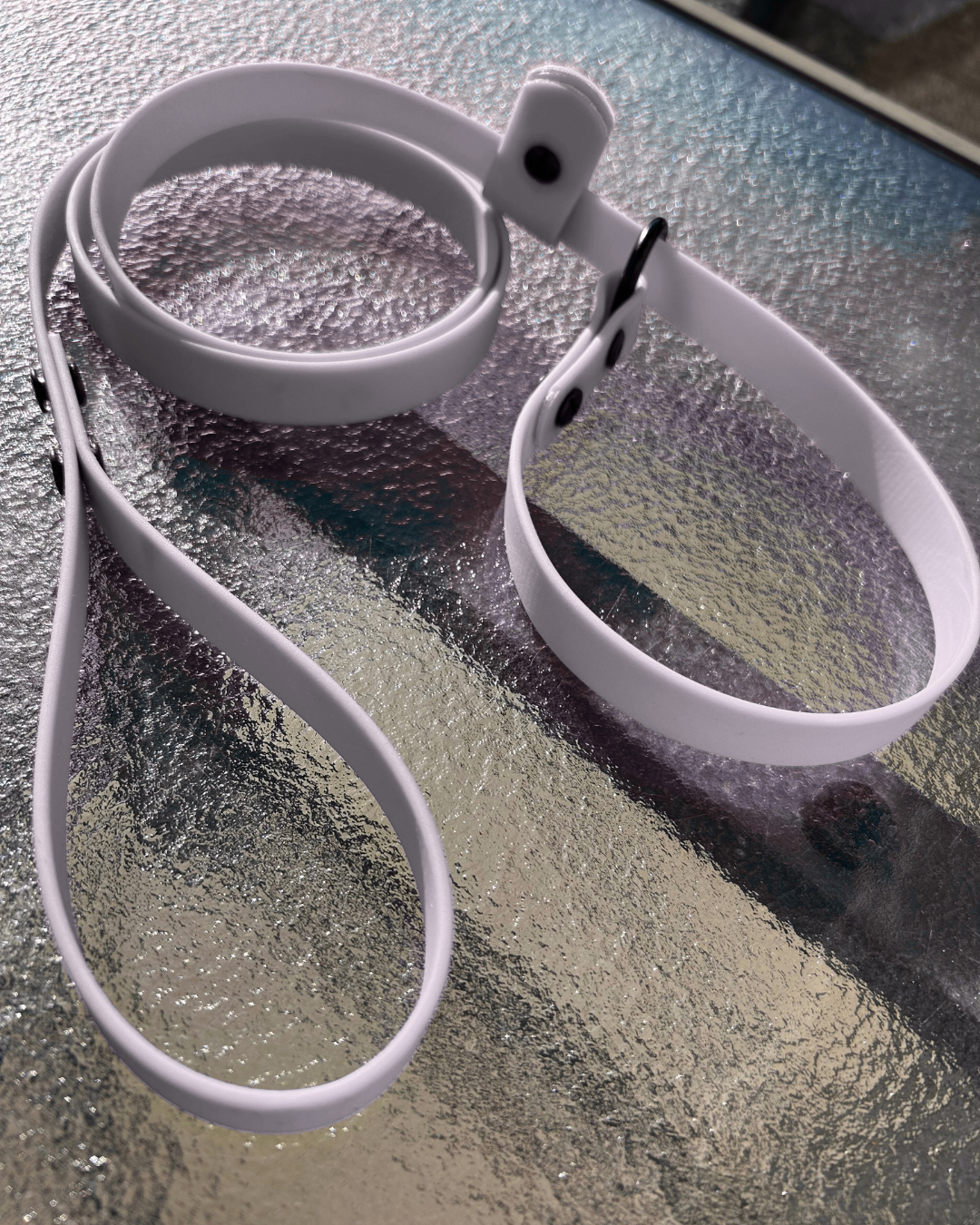 Laisse lasso en Biothane pour chien - Fait Main au Québec