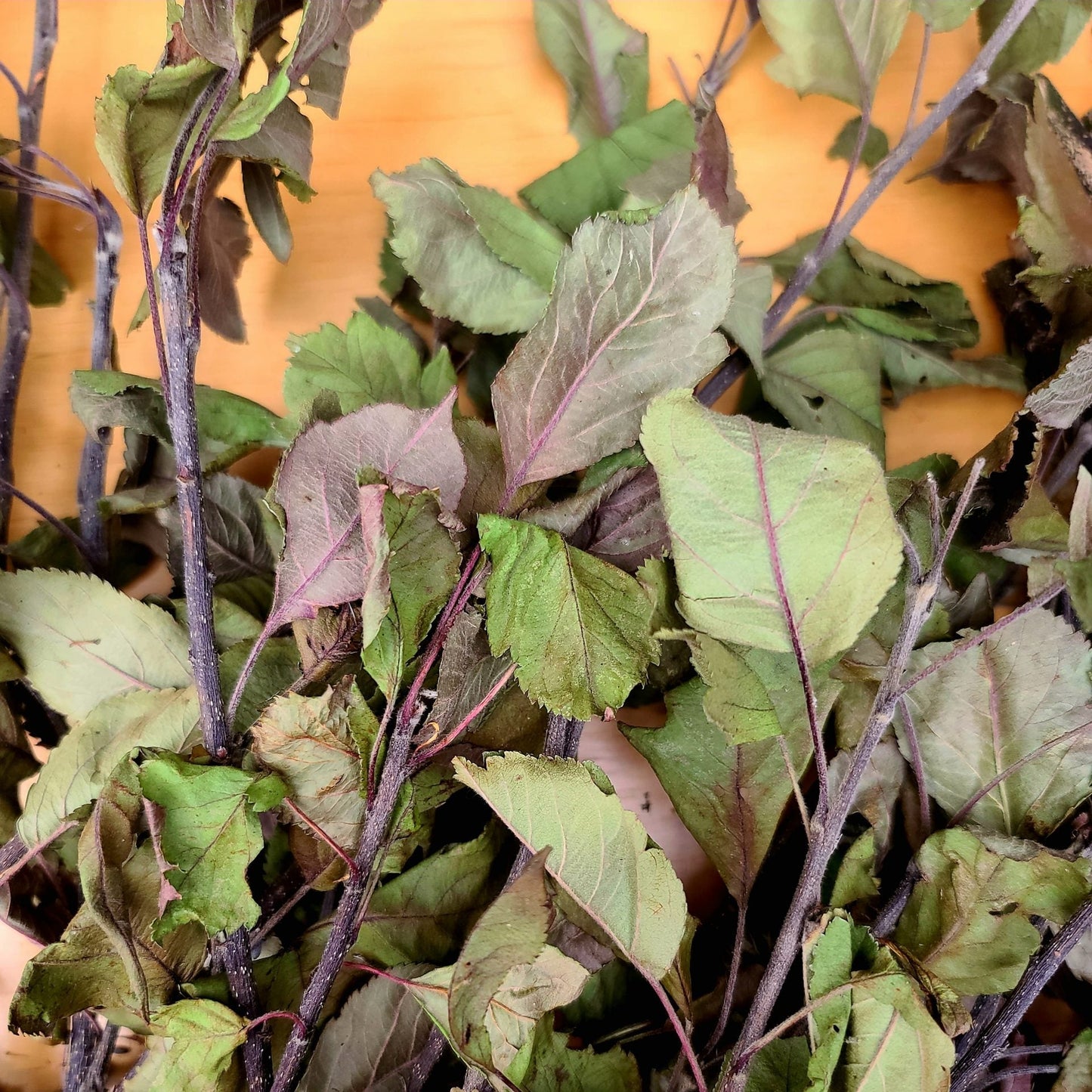 Orchard Experience Mix