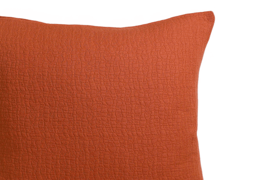 Cinnamon Cushion Cover