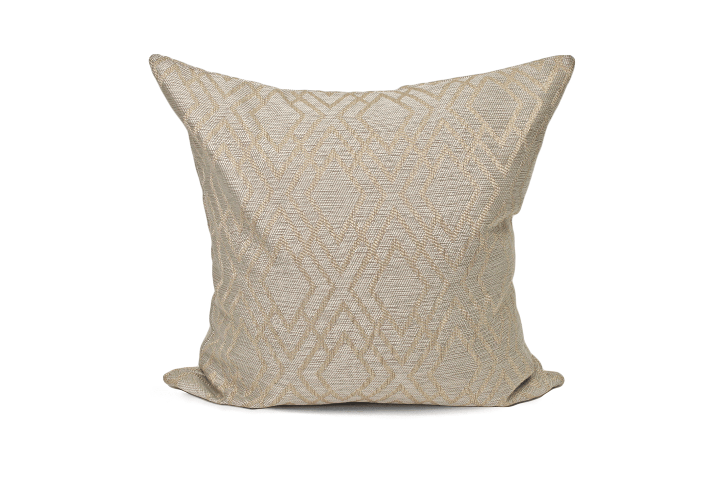 Oyster Cushion Cover