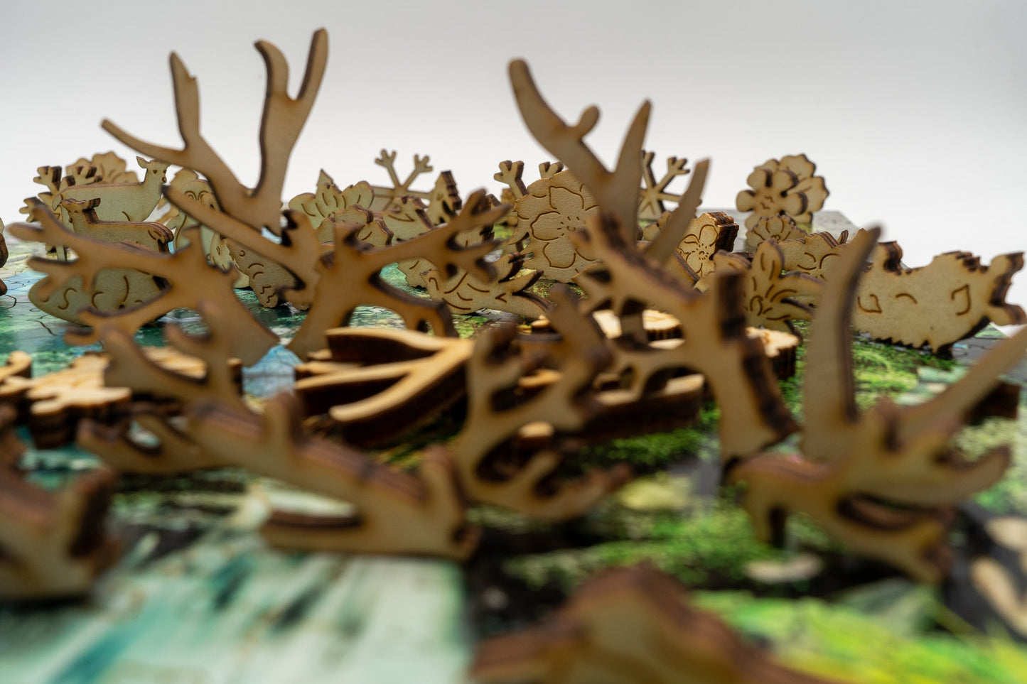 The Swift of Spring Portal