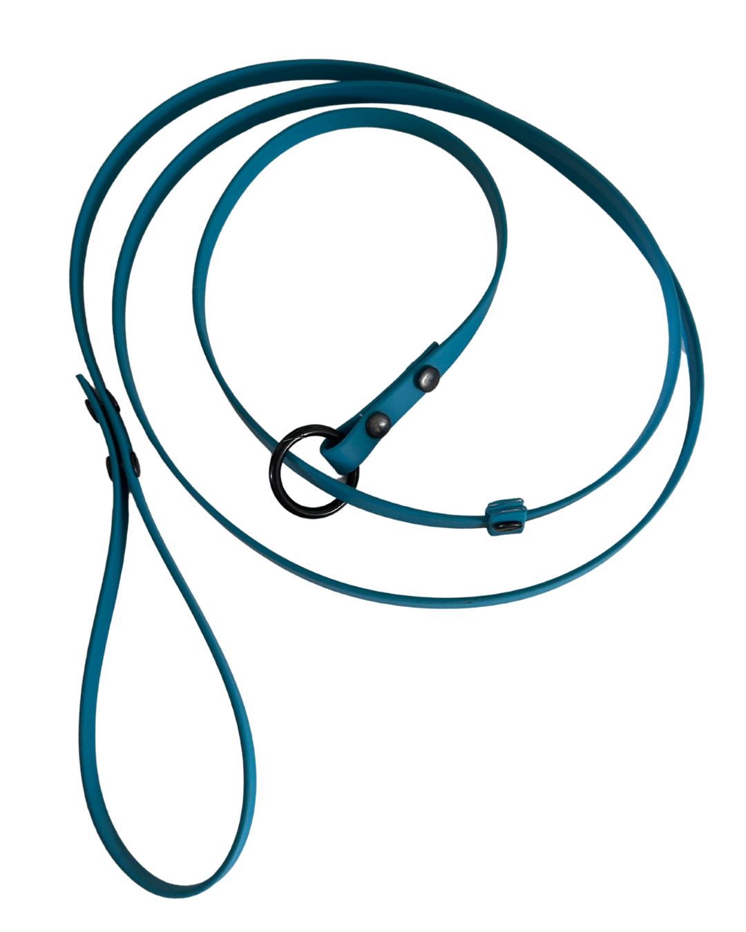 Laisse lasso en Biothane pour chien - Fait Main au Québec