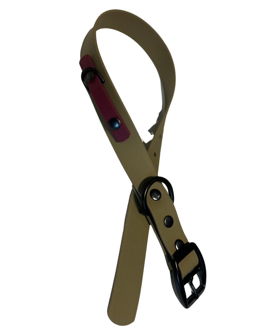 Collier en Biothane pour chien- Fait Main au Québec