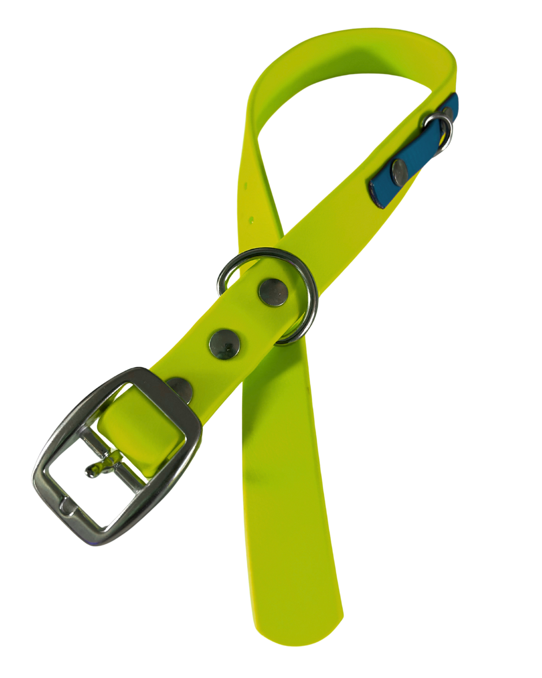 Collier en Biothane pour chien- Fait Main au Québec