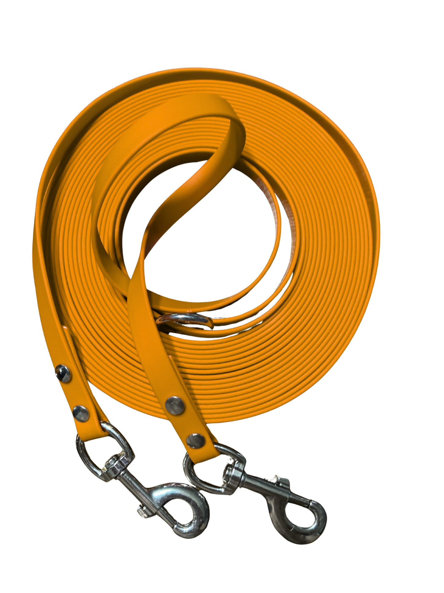 Longe TWO SNAP pour Chien en Biothane – Fait Main au Québec