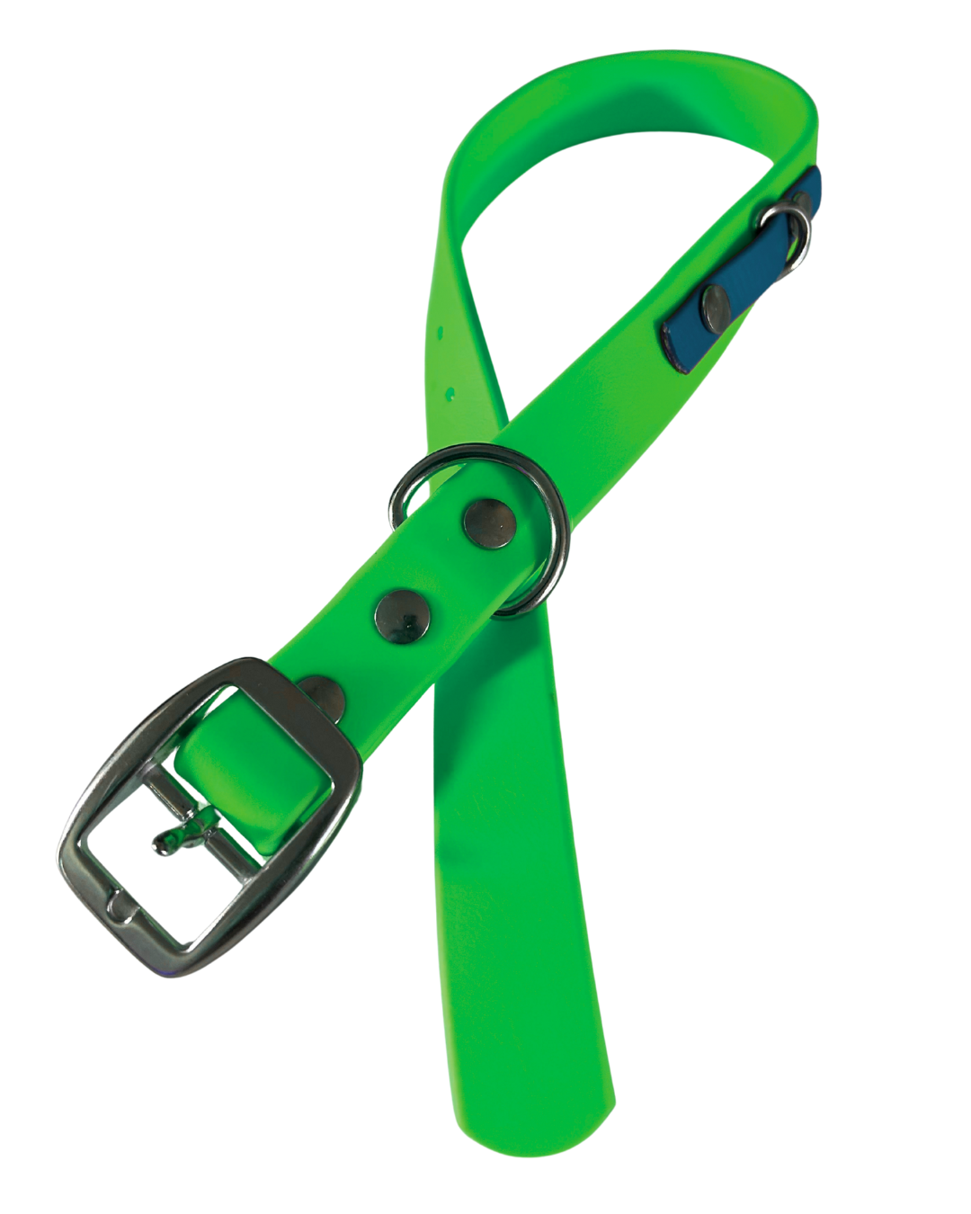 Collier en Biothane pour chien- Fait Main au Québec