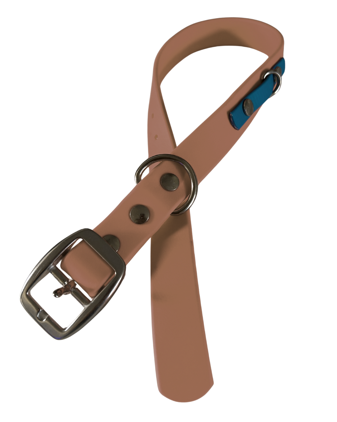 Collier en Biothane pour chien- Fait Main au Québec