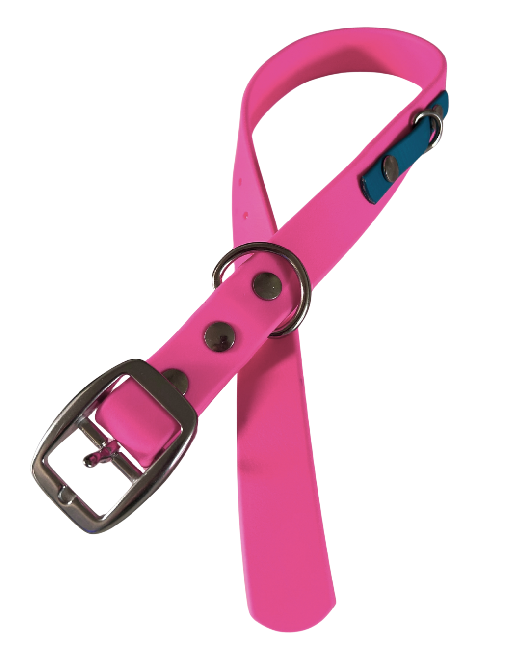 Collier en Biothane pour chien- Fait Main au Québec