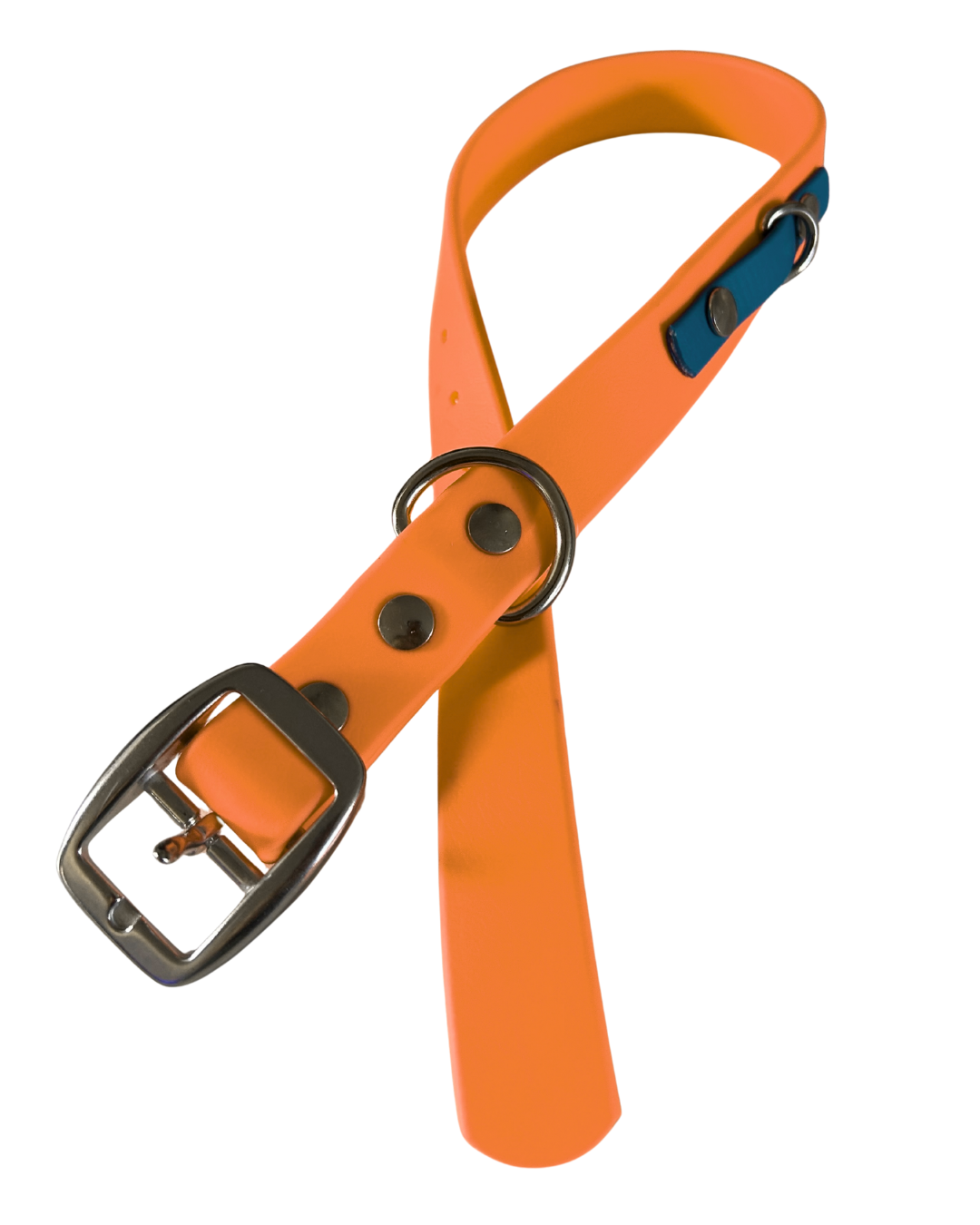 Collier en Biothane pour chien- Fait Main au Québec