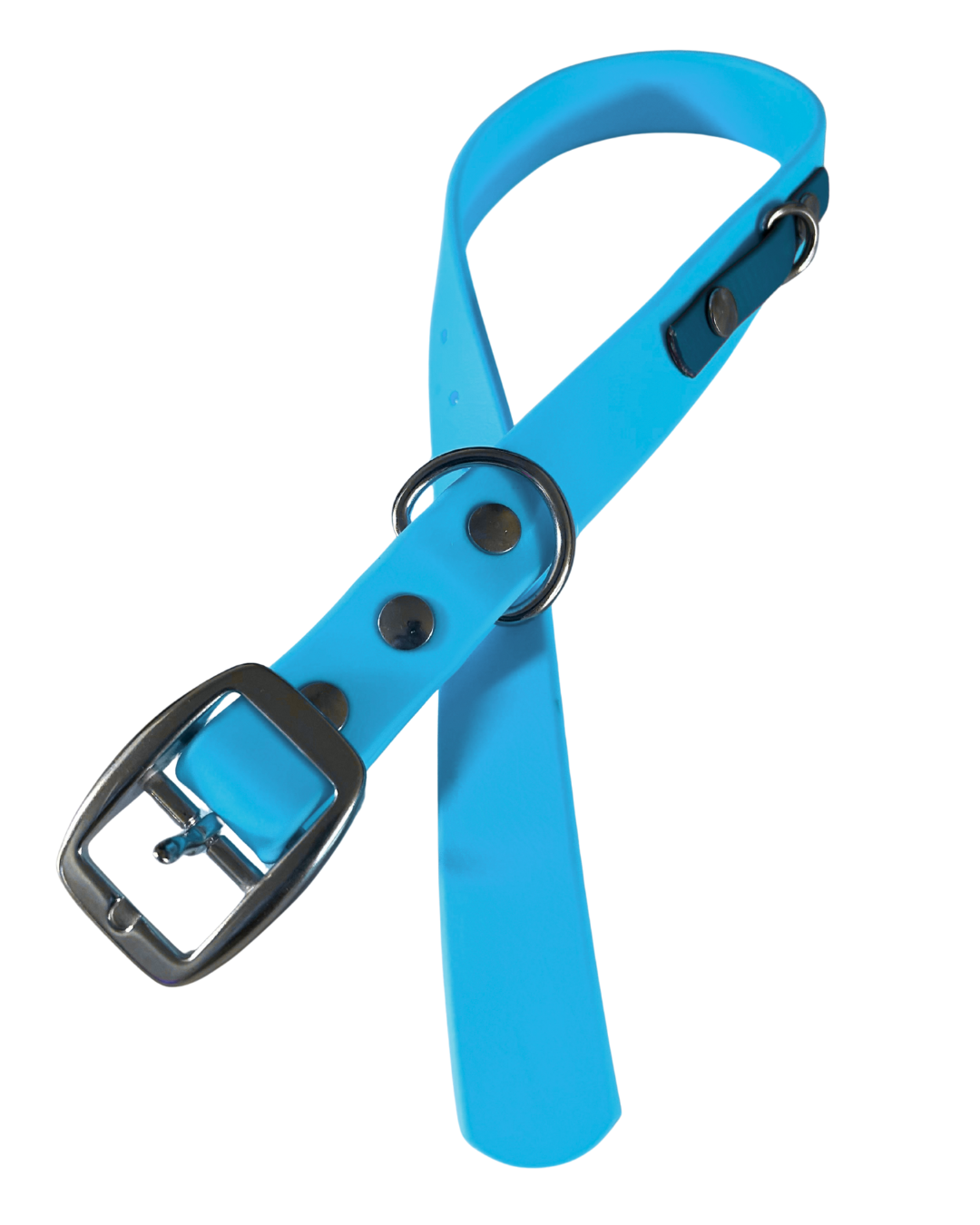 Collier en Biothane pour chien- Fait Main au Québec