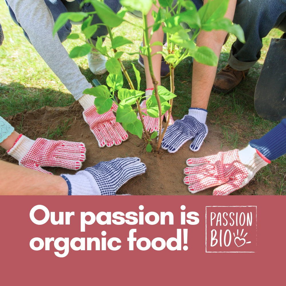 Organic Elderberries Dried 1 lb (454 g)