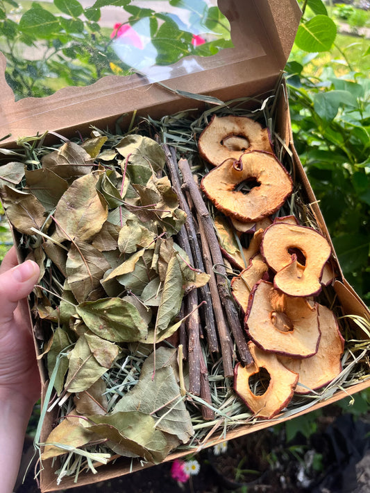 Apple Orchard Forage Box