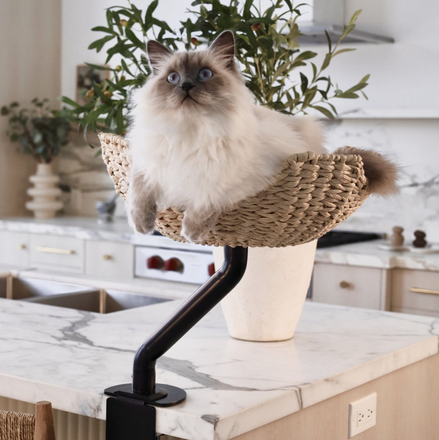 ERGO PURRCH - The Sustainable Desk-Mounted Cat Bed