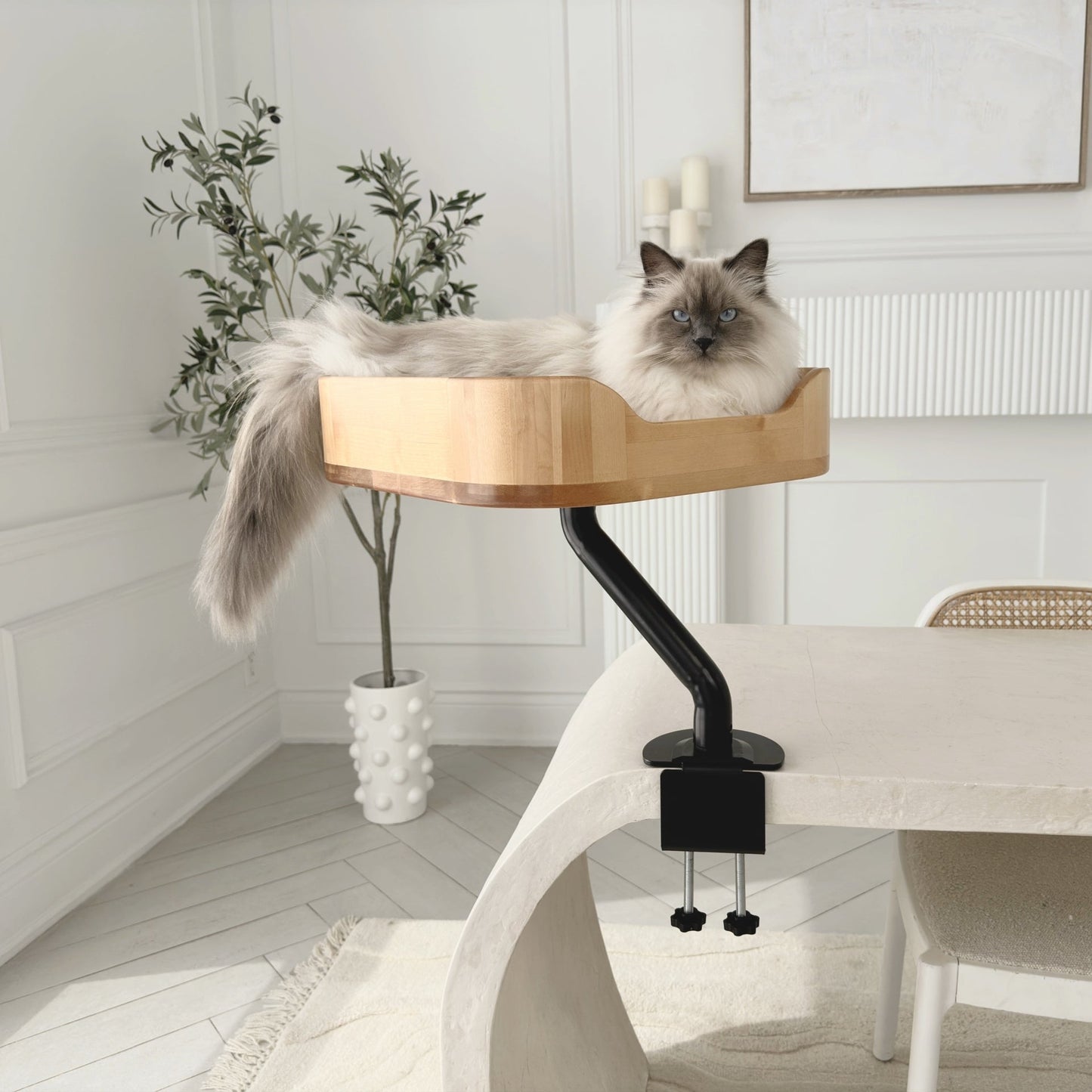 ERGO PURRCH - The Sustainable Desk-Mounted Cat Bed