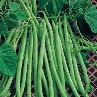 Emerite Pole Bean