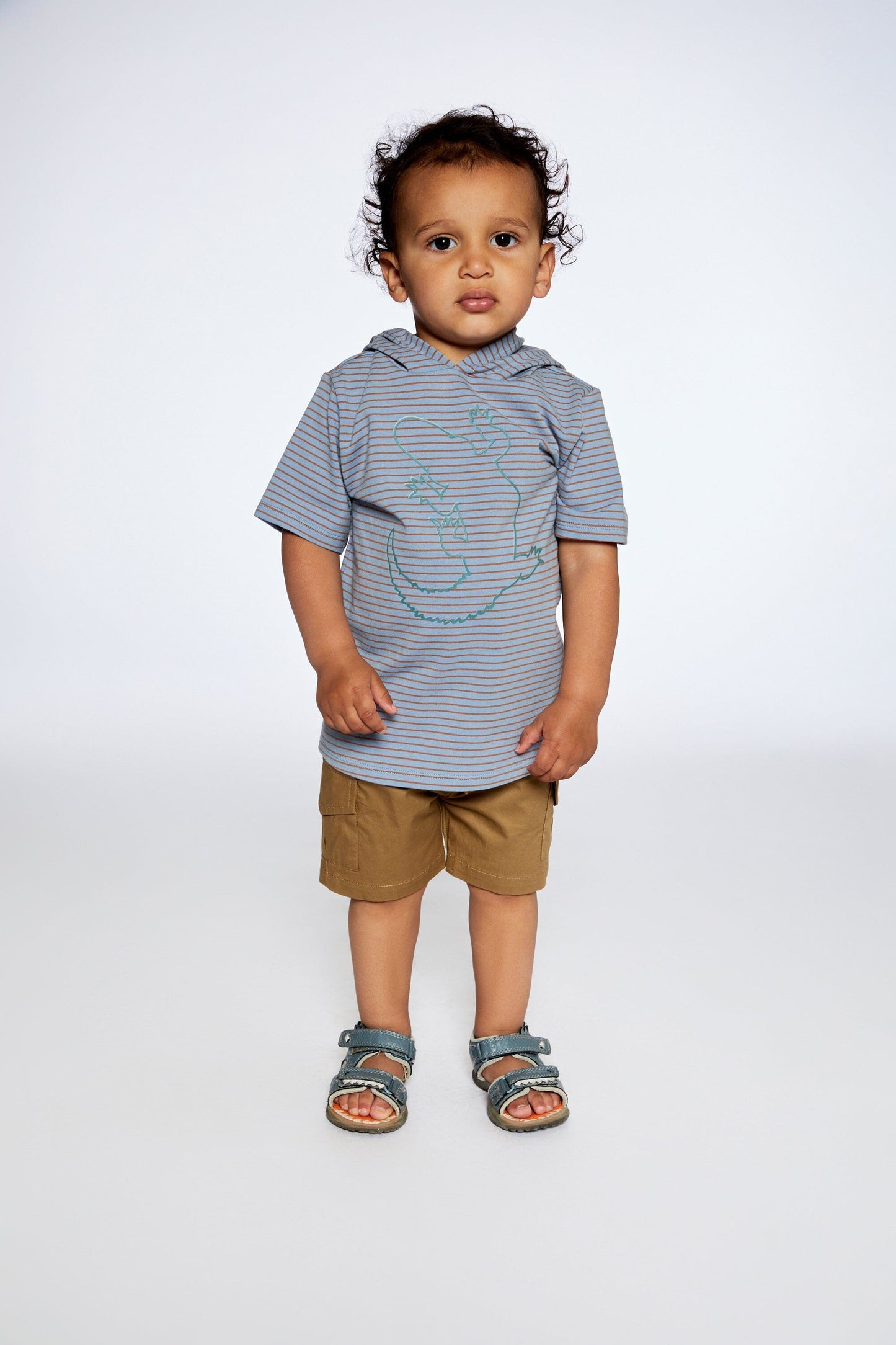 Hooded T-Shirt With Crocodile Print Blue And Rust Stripe