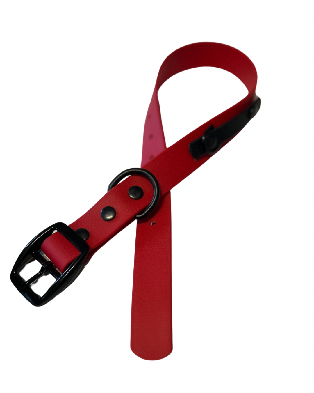 Collier en Biothane pour chien- Fait Main au Québec