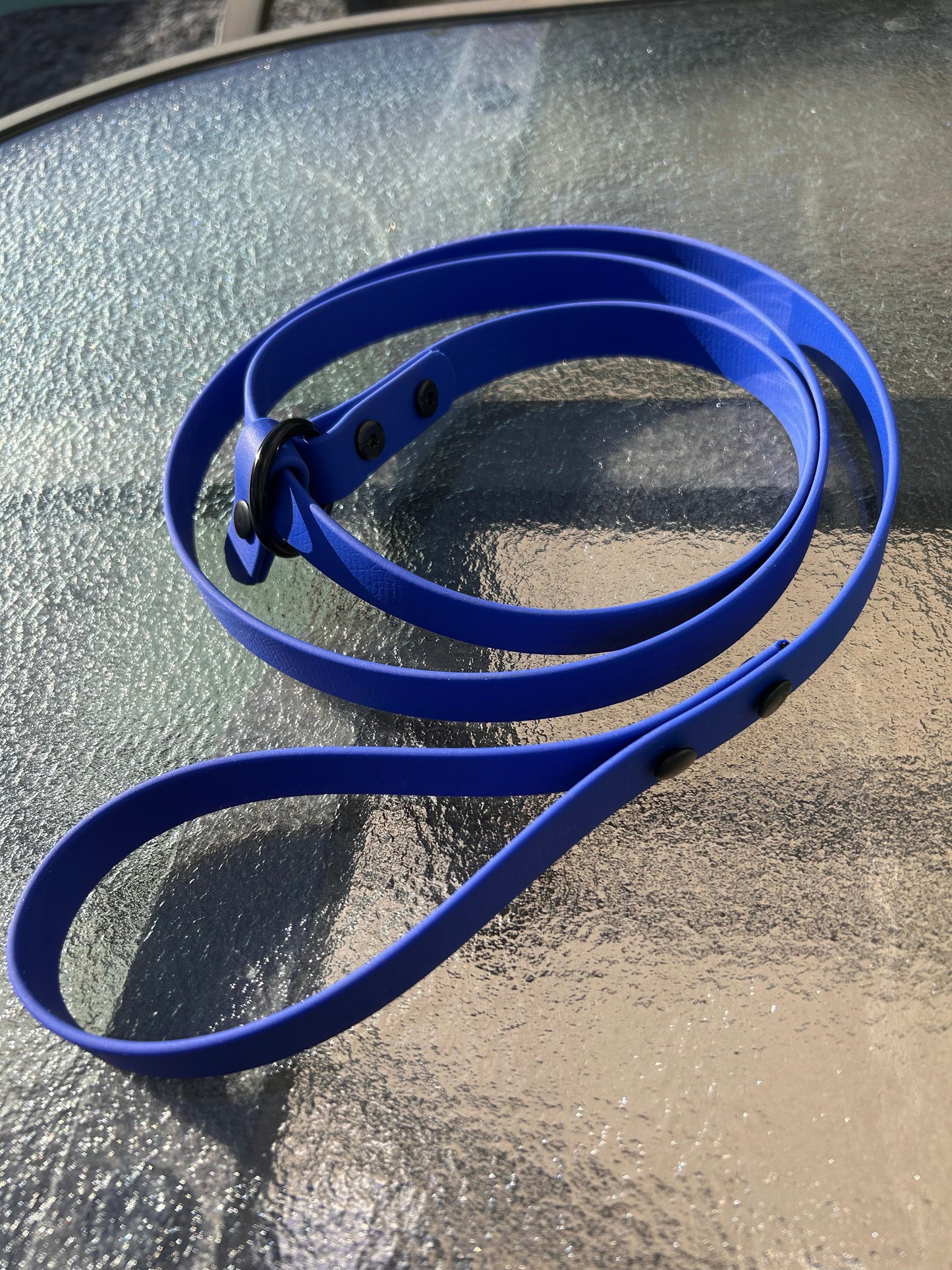 Laisse lasso en Biothane pour chien - Fait Main au Québec