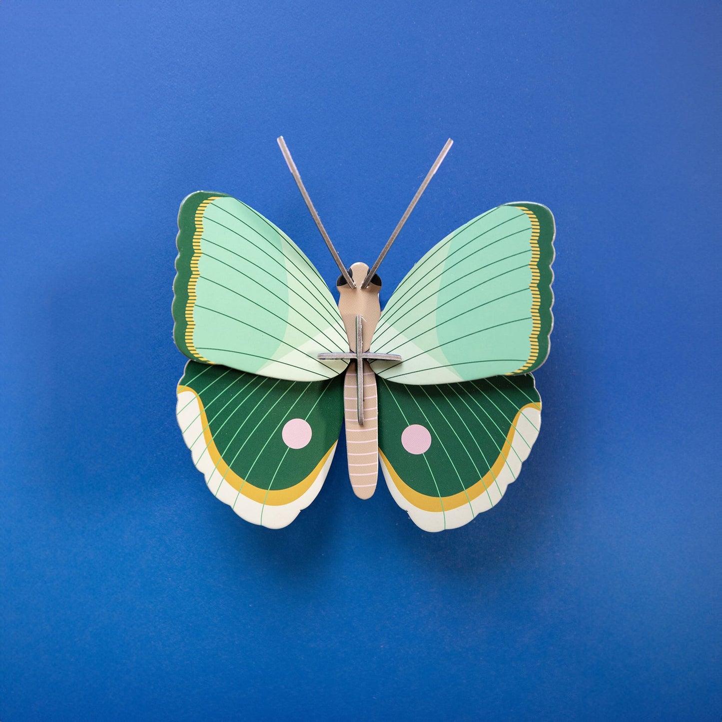 Fern Striped Butterfly