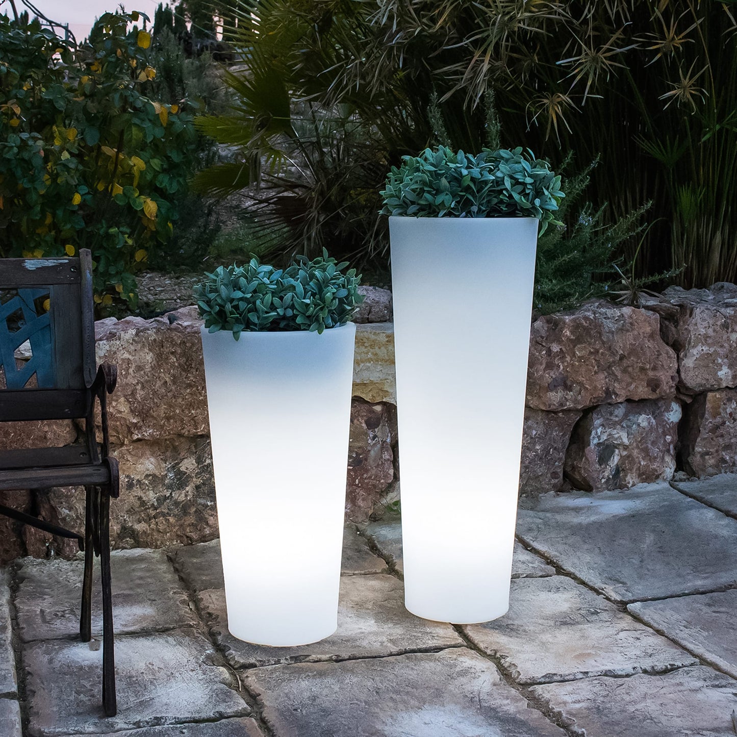 Ficus<br> Solar & Rechargeable