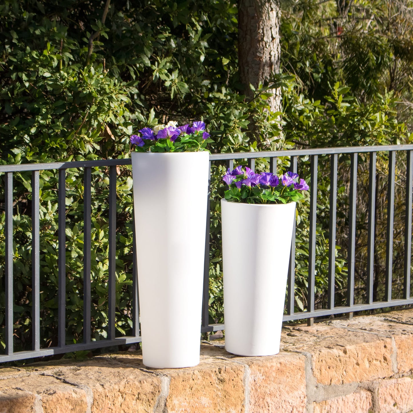 Ficus<br> Solar & Rechargeable