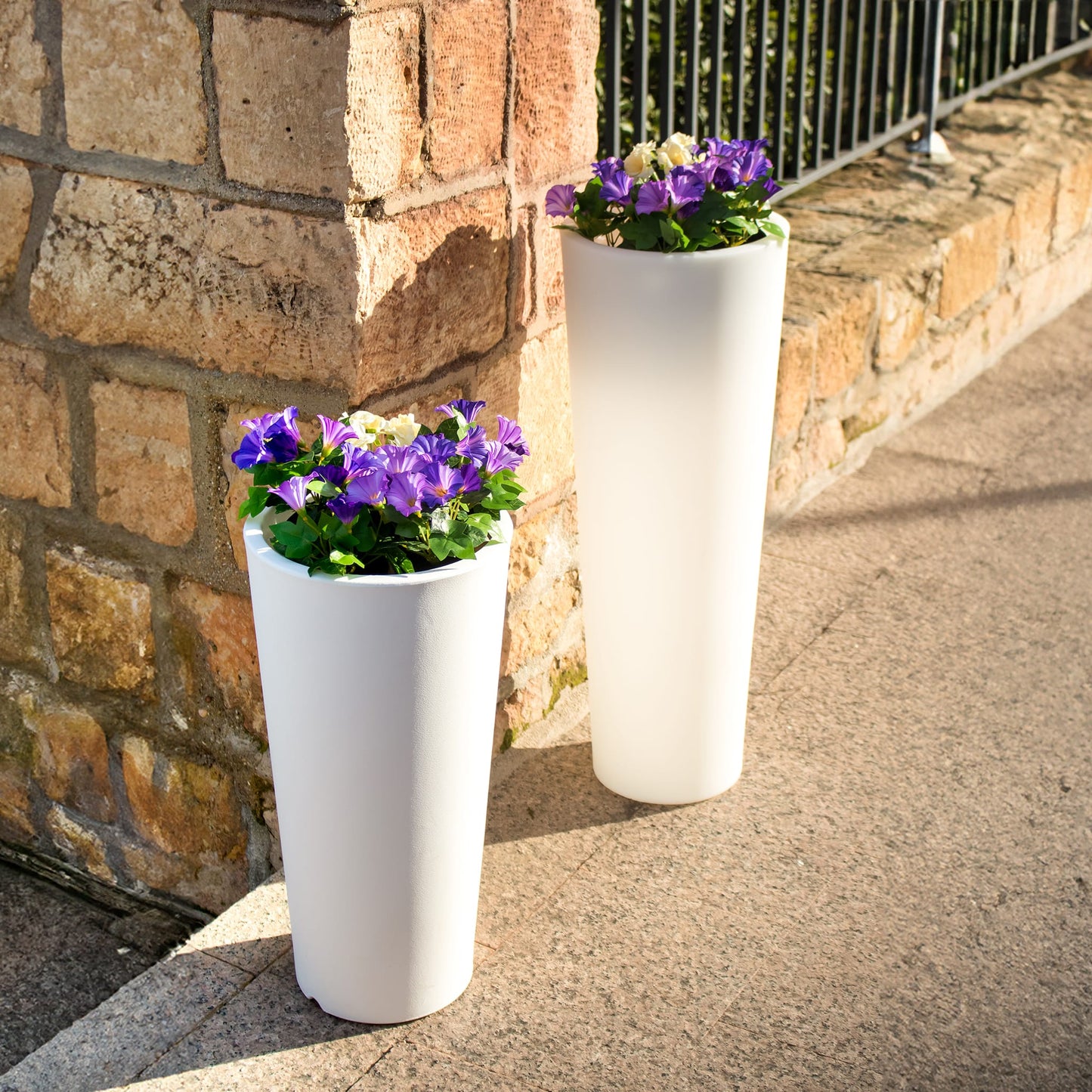 Ficus<br> Solar & Rechargeable