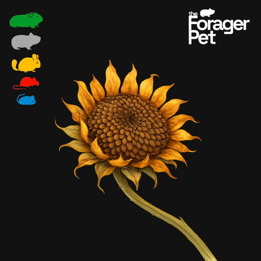 Scrunchy Sunflower Heads