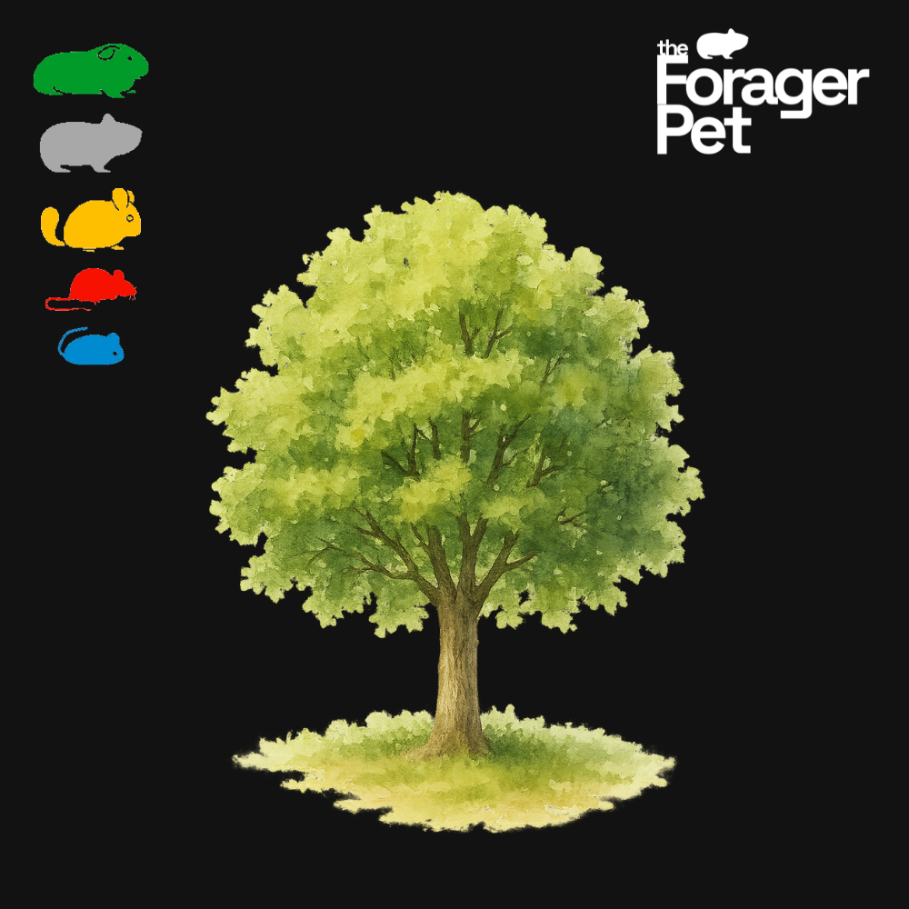 Orchard Experience Mix