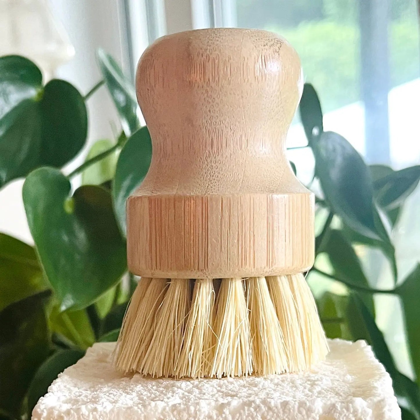 Brosse à vaisselle en bambou