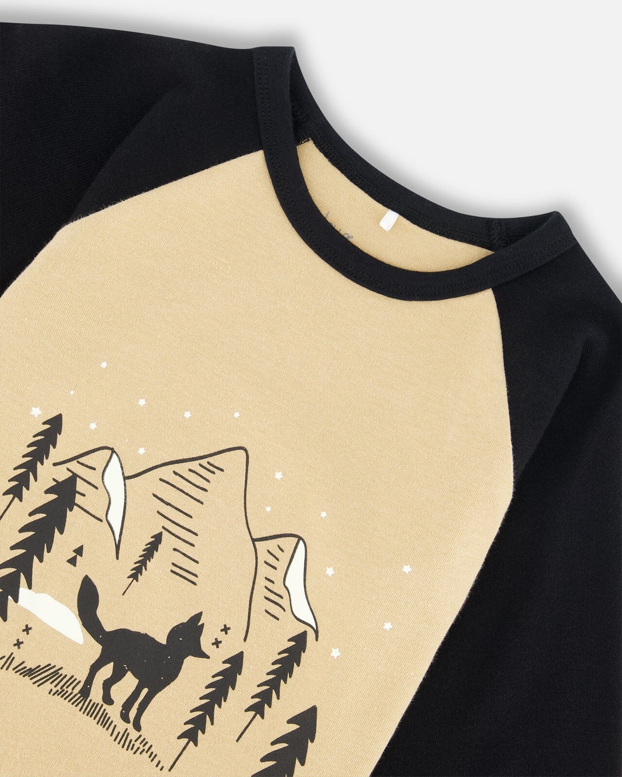 Organic Cotton Two Piece Pajama Set Black Printed Fox