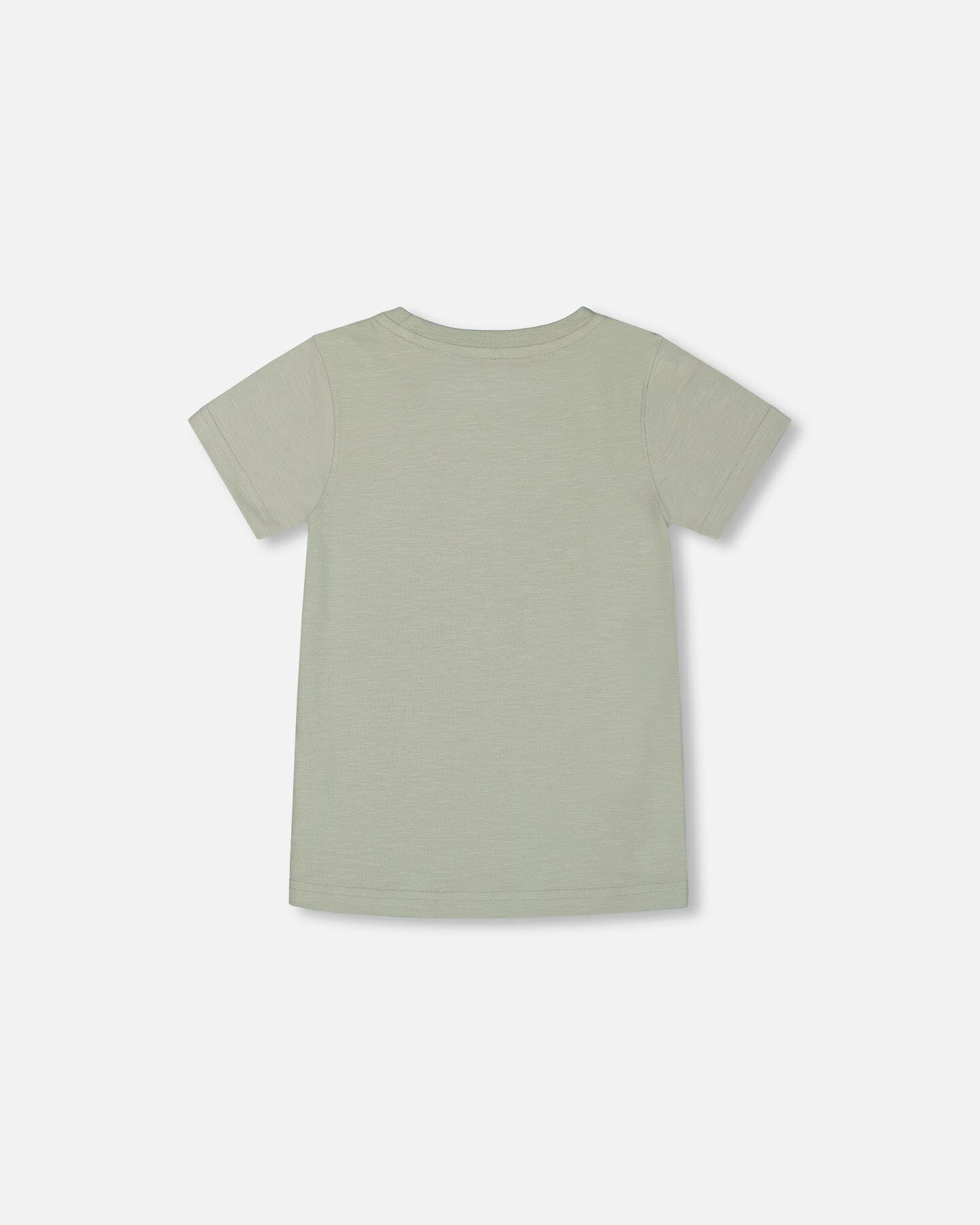 Short Sleeve Organic Cotton Graphic Tee Sage And Multi