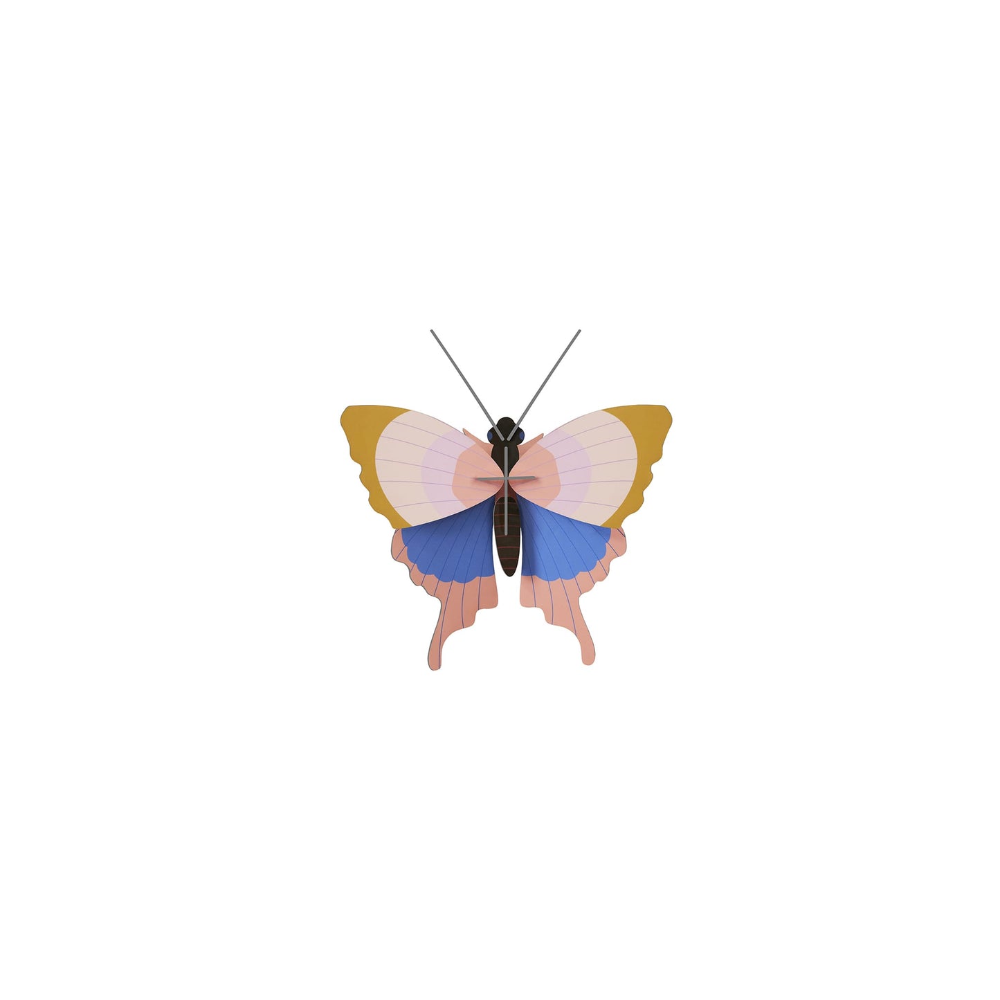 Gold Rim Butterfly