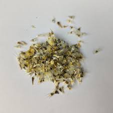 Blanket Flower (Gaillardia)