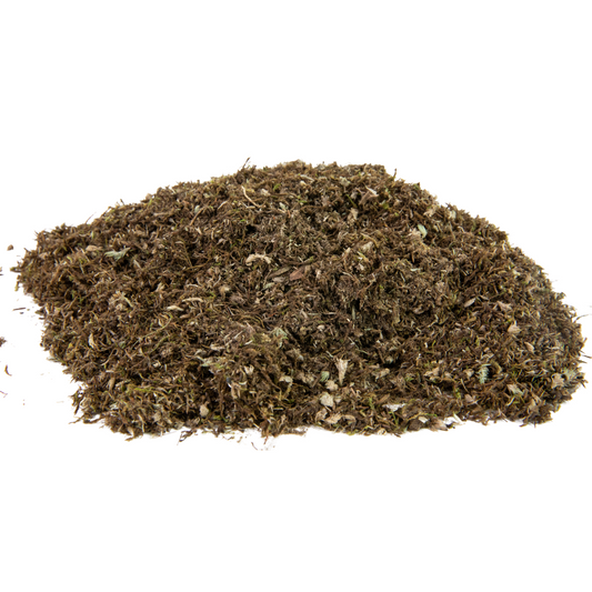 Growable Moss for the Sun