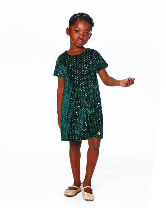 Velvet Short Sleeve Dress Forest Green
