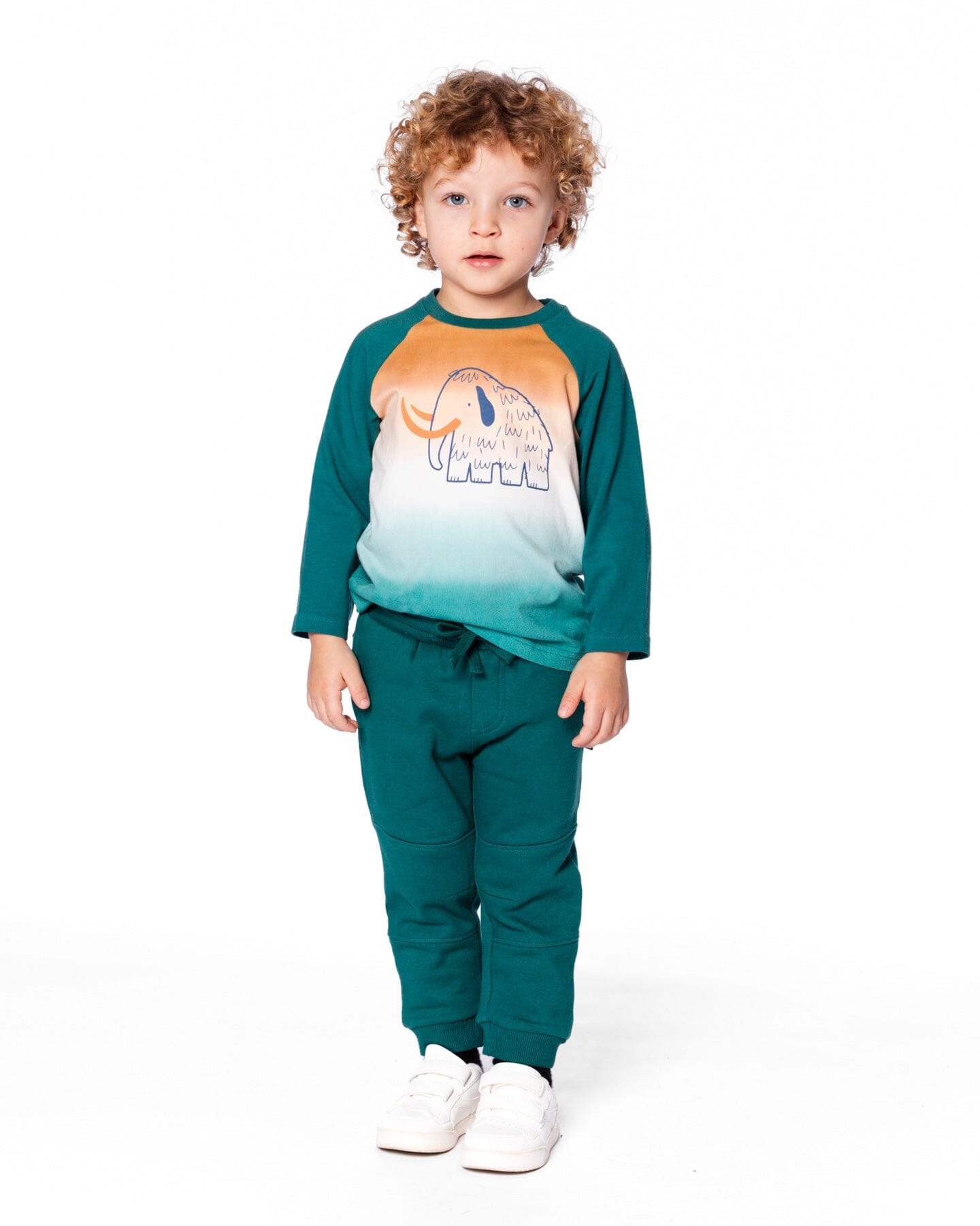 Organic Cotton Jersey Raglan Sleeve T-Shirt Forest Green