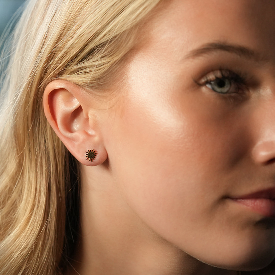 HEAVENLY 2-Pair Stud Earrings Set