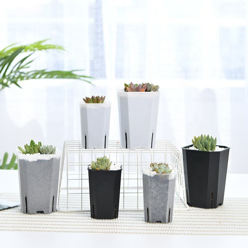 Tall transparent square pot