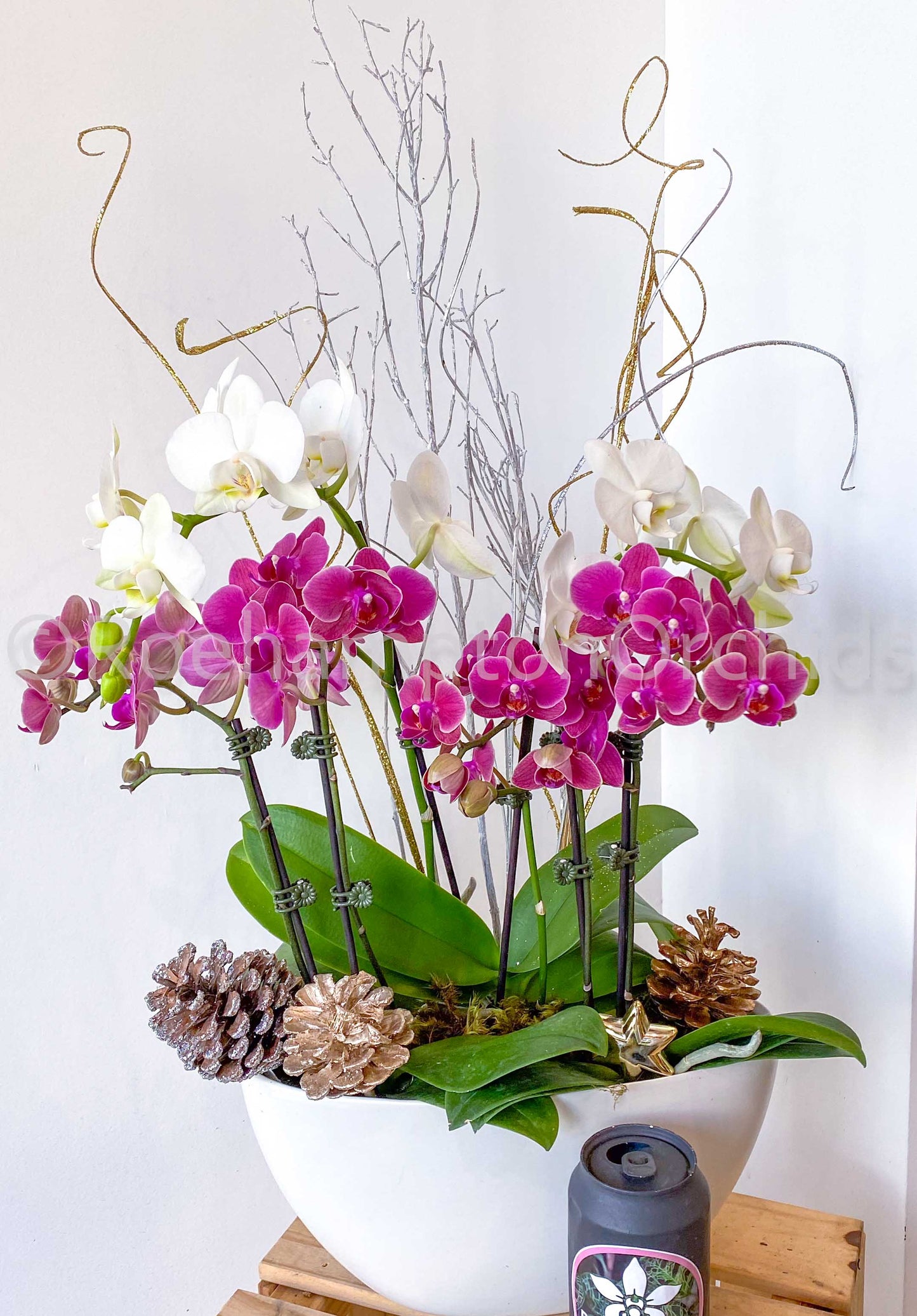 The Nordic Opal Boat