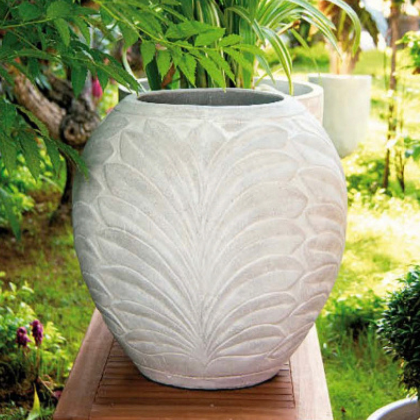 Pot en terracotta Antoine blanc
