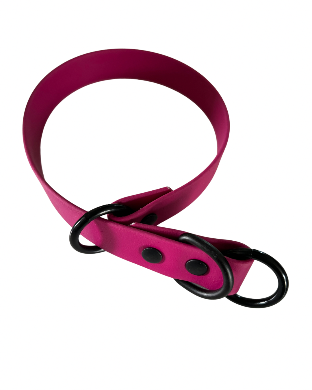 Collier Slip en Biothane pour chien - Fait Main au Québec