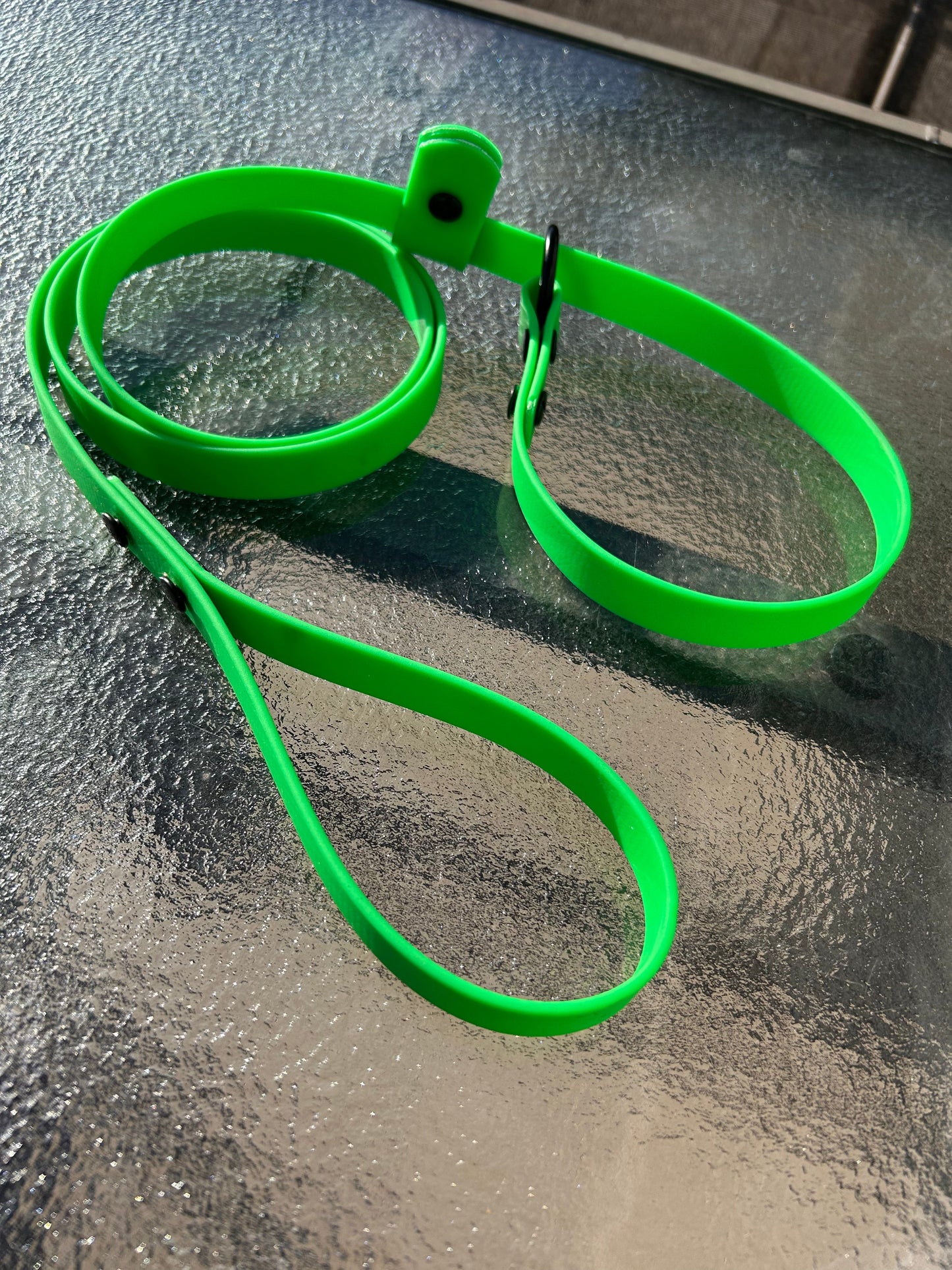 Laisse lasso en Biothane pour chien - Fait Main au Québec