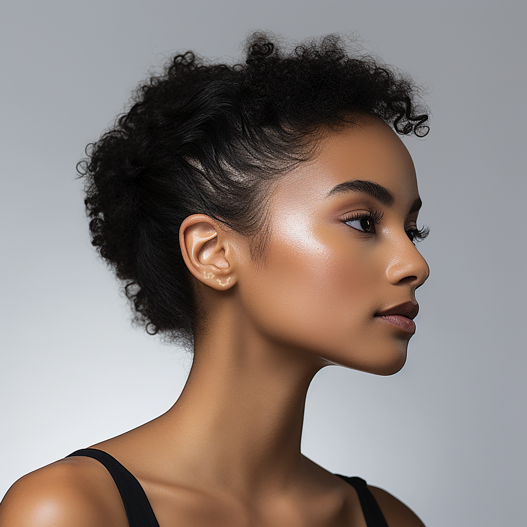 The Zodiac Constellation Studs