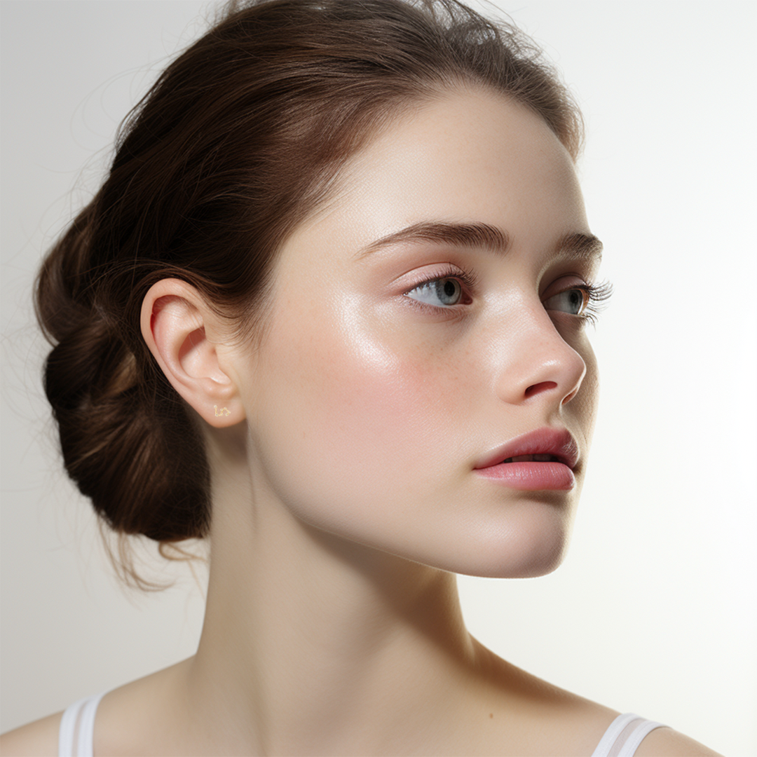 The Zodiac Constellation Studs