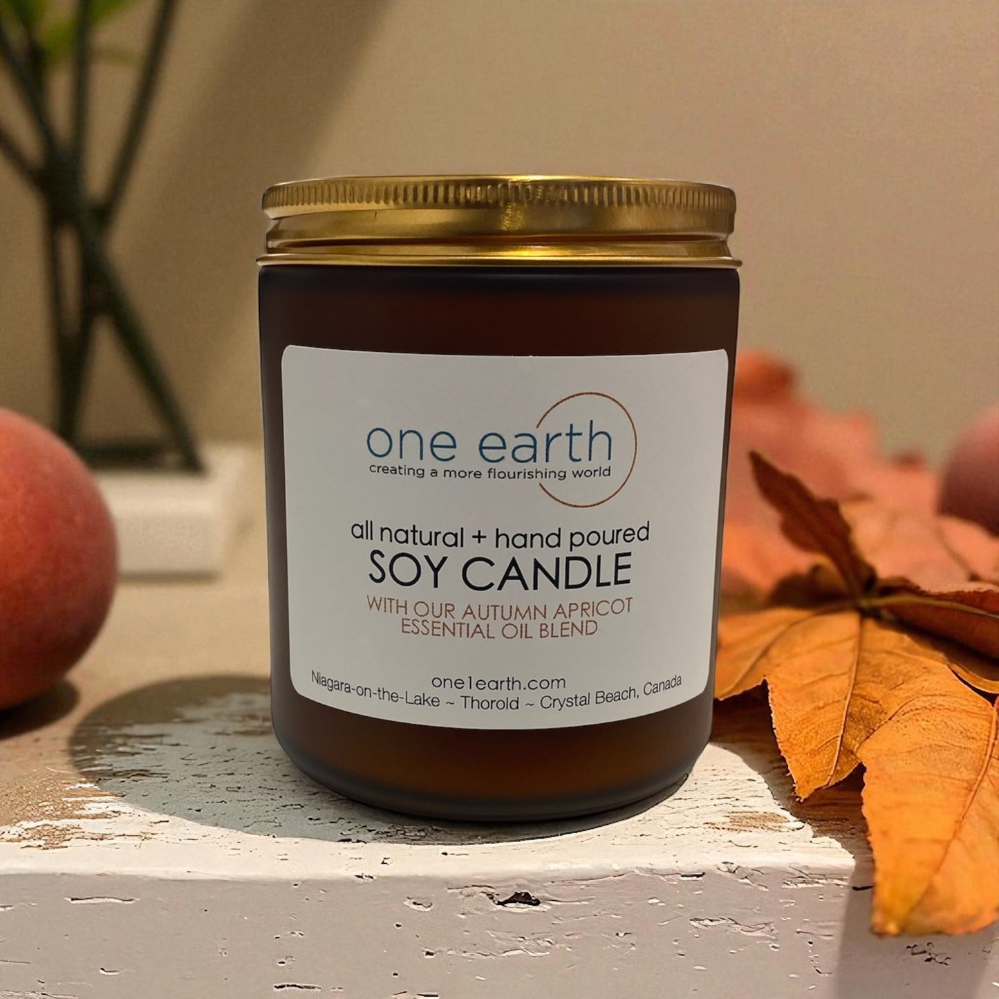 Soy Candle- Autumn Apricot